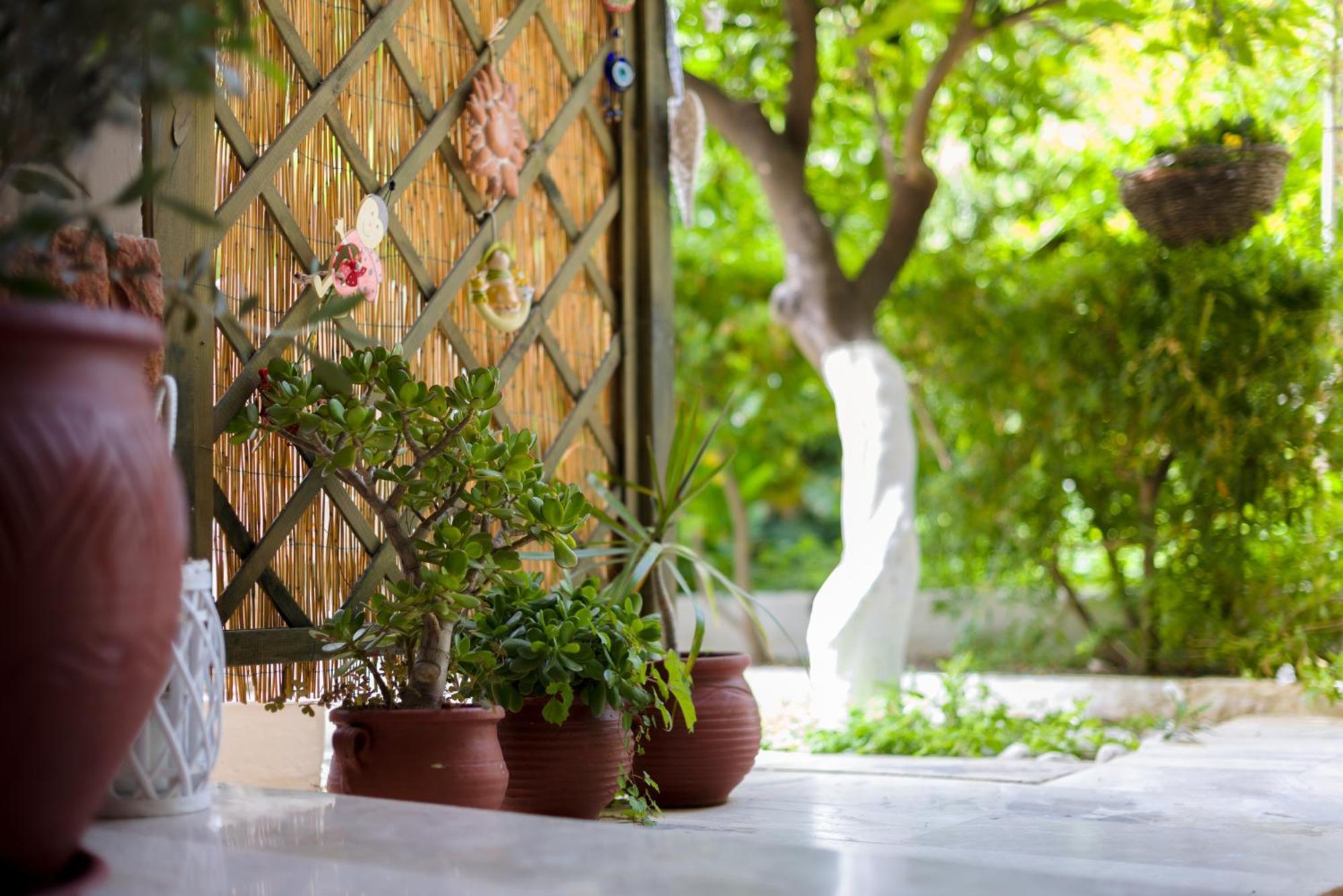 Oasis Home 托隆 外观 照片